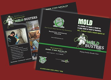 Mold Busters Presentation Folder