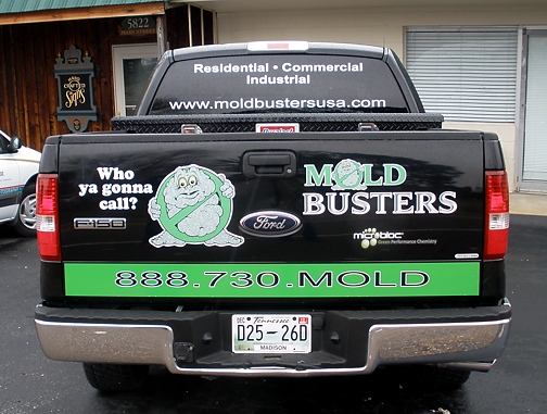 Mold Busters Truck