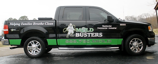 Mold Busters Truck