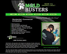 Mold Busters Web Page